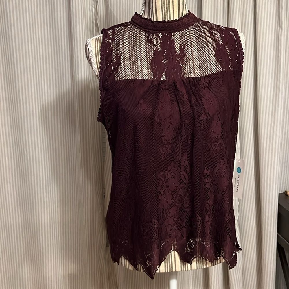 Alice Blue Lace Sleeveless Blouse. Small